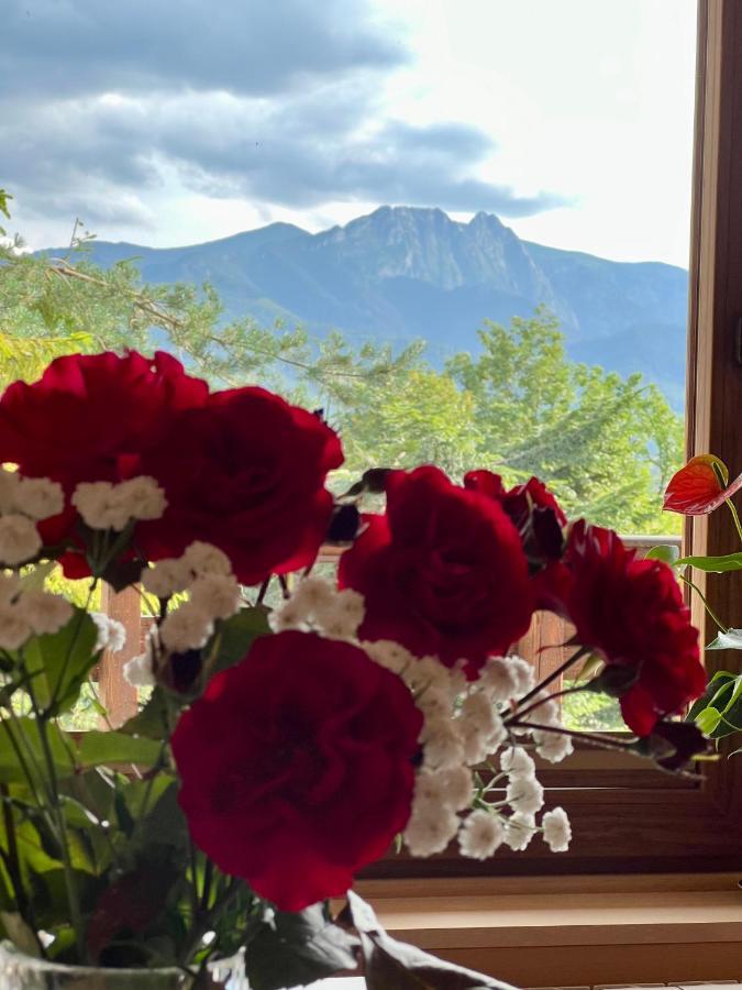 Domek Olczyski Zakopane Esterno foto